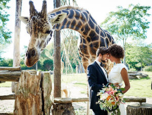 Heiraten im Zoo Leipzig