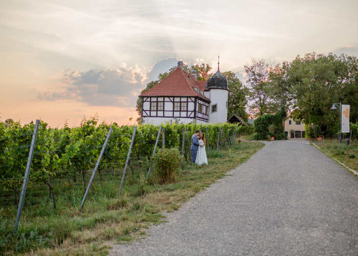 Weingut Hoflößnitz Brautpaar steht vor den Weinreben